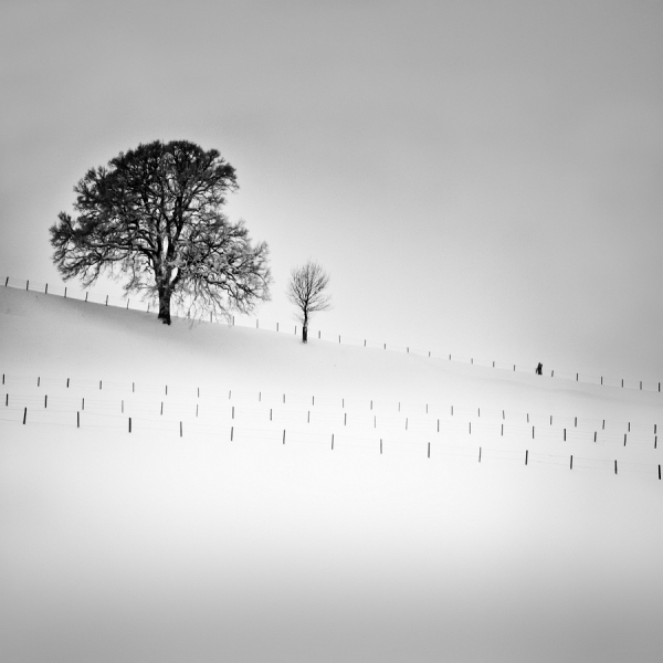 Photograph Uwe Langmann Winter 009 on One Eyeland